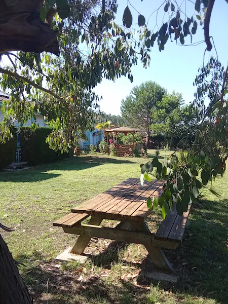 Gîte Bois Flotté – Photo 7